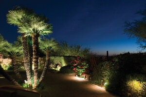 Backyard with desert lighting solutions